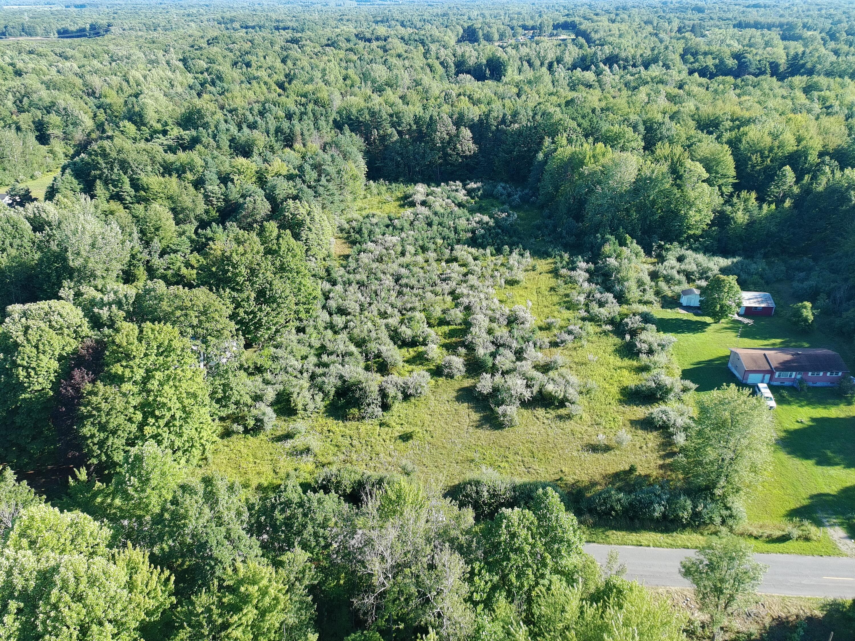 71663 24th Avenue South Haven, MI 49090 - Photo 3 of 3 PTSC_0333