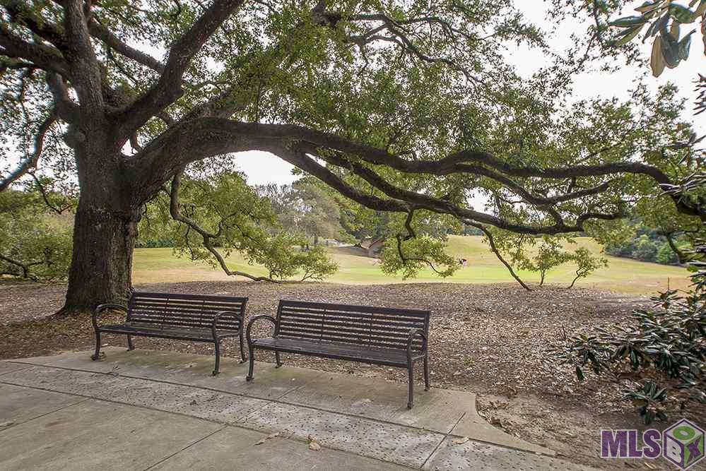 1667 Perkins Road Baton Rouge, LA 70808 - Photo 30 of 36
