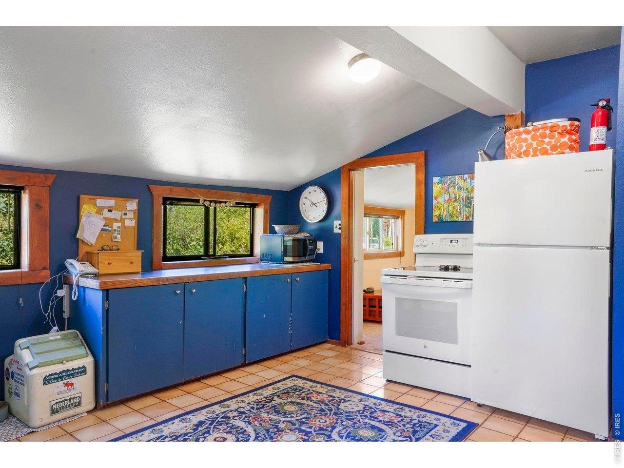 1410 Caribou Road Nederland, CO 80466 - Photo 5 of 22