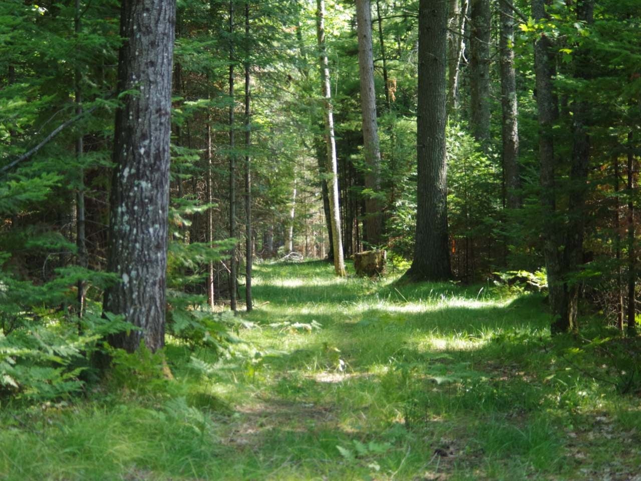 Lot 44 Pine Crest Colony East Rhinelander, WI 54501 - Photo 22 of 26 Gallery Image 22