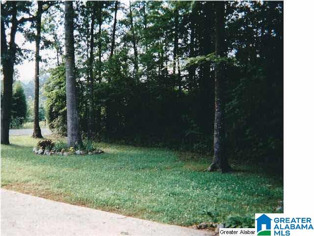 1499 Ray Wyatt Road Ashville, AL 35953 - Photo 5 of 29