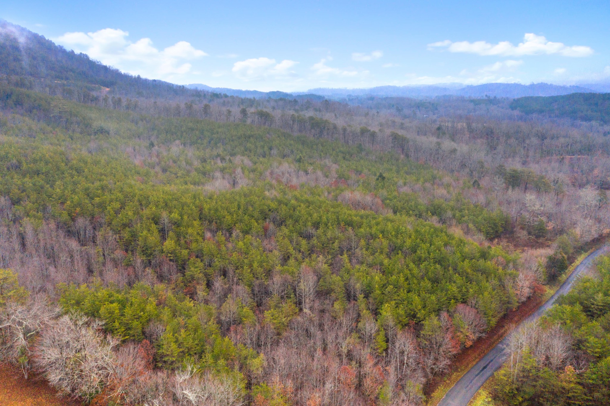 0 Baker Road Tellico Plains, TN 37385 - Photo 29 of 31 Gallery Image 29