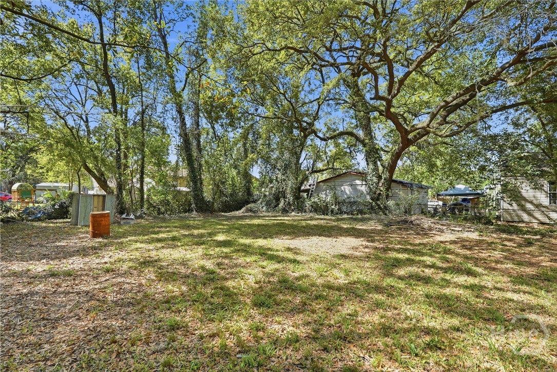 205 Bonnybridge Road Port Wentworth, GA 31407 - Photo 28 of 30 Back Yard