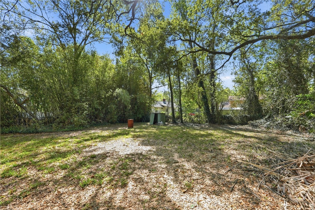 205 Bonnybridge Road Port Wentworth, GA 31407 - Photo 29 of 30 Back Yard