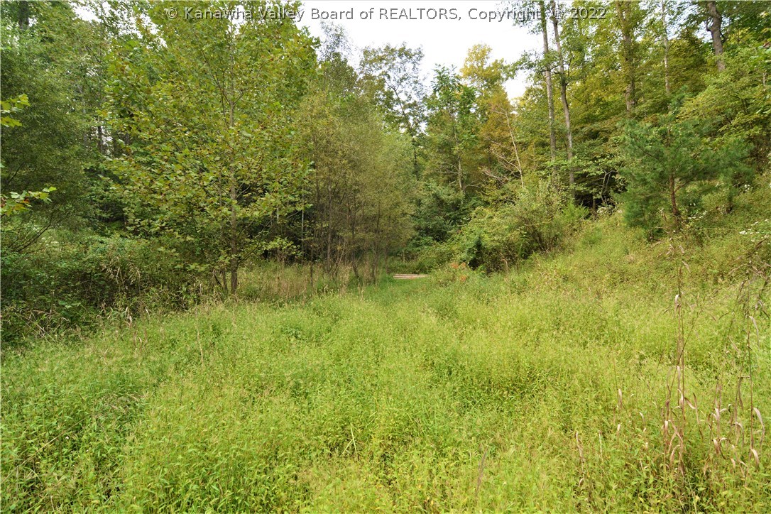 0 Fairview Road Fraziers Bottom, WV 25082 - Photo 7 of 11 Gallery Image 7