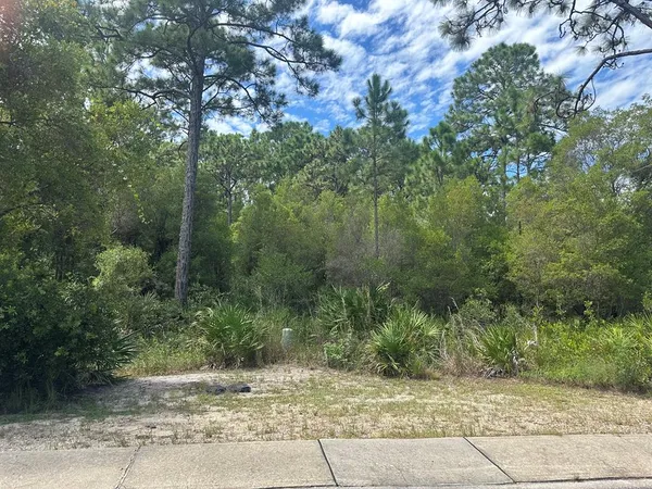$42,900 | 152 White Pelican Way, Carrabelle, FL 32322
