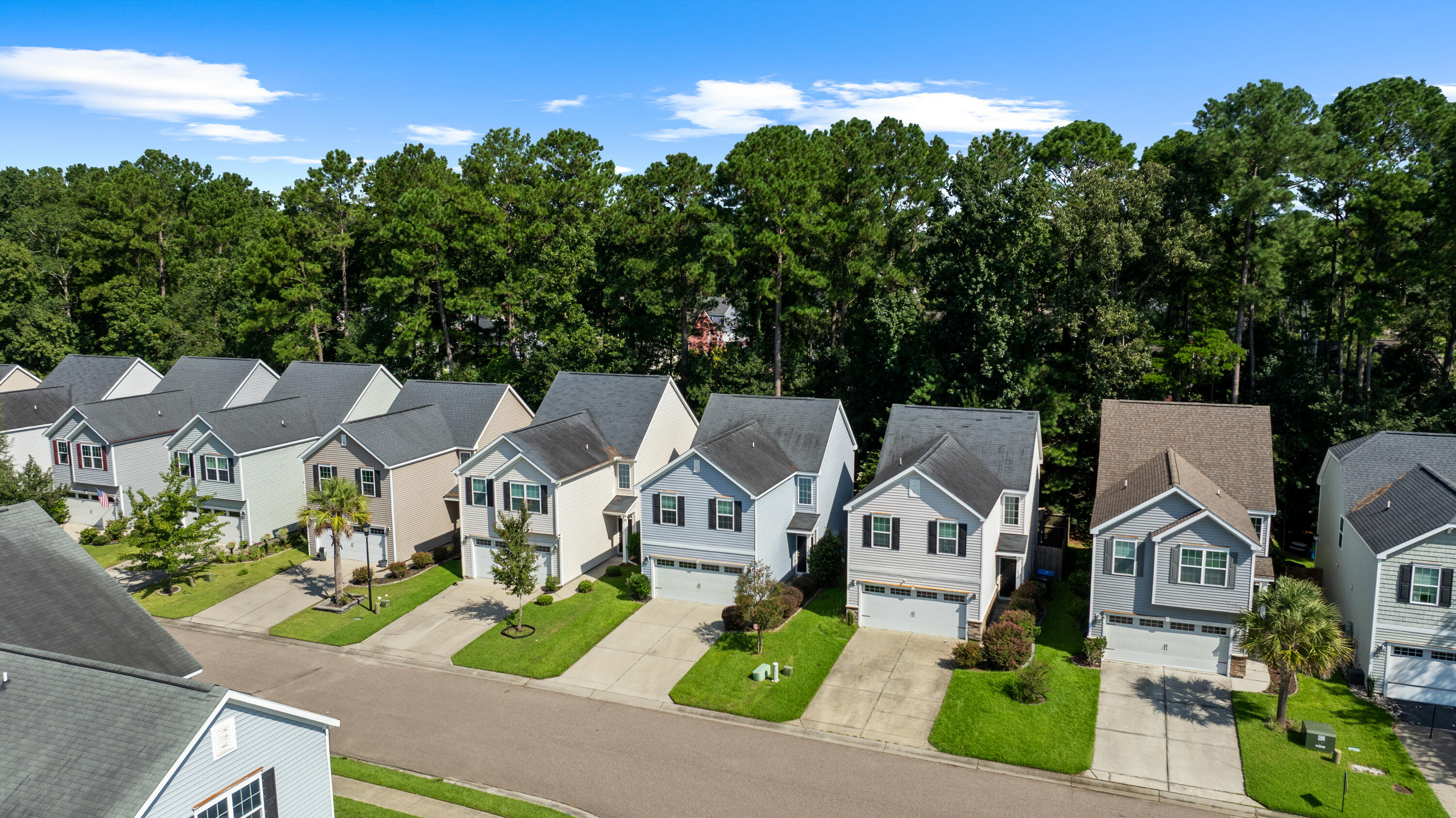 8926 Cat Tail Pond Road Summerville, SC 29485 - Photo 3 of 24 8926CatTailPond.NicoleBurbagePhoto-3