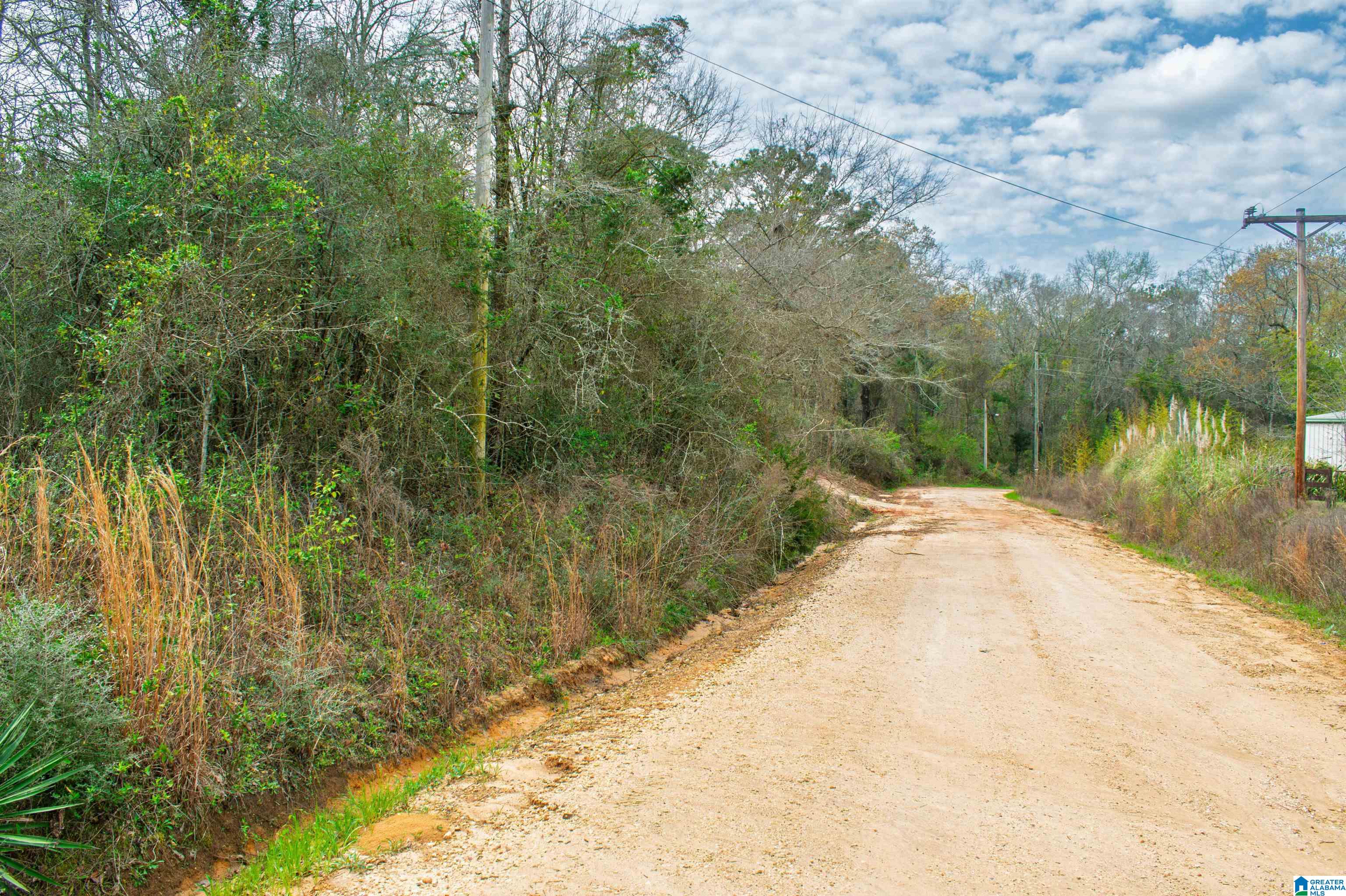 27180 Deer Run Road Opp, AL 36467 - Photo 42 of 60