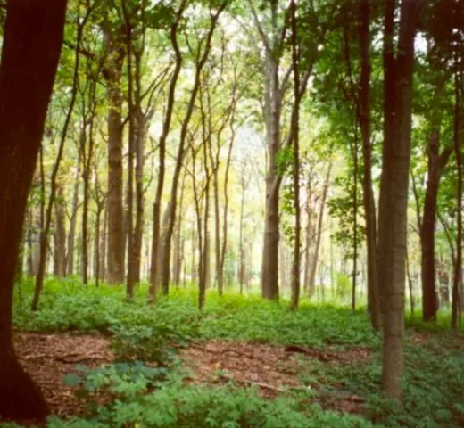 $650,000 | Lot 4 Winterberry Lane, Easton, MA 02356