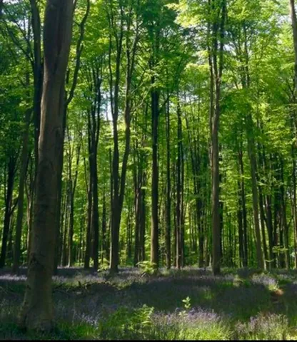 $650,000 | Lot 4 Winterberry Lane, Easton, MA 02356