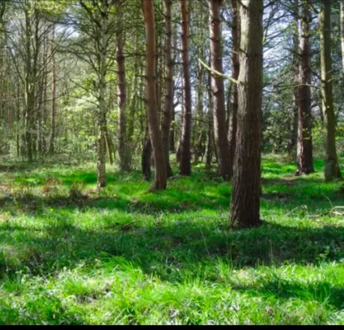 $650,000 | Lot 4 Winterberry Lane, Easton, MA 02356