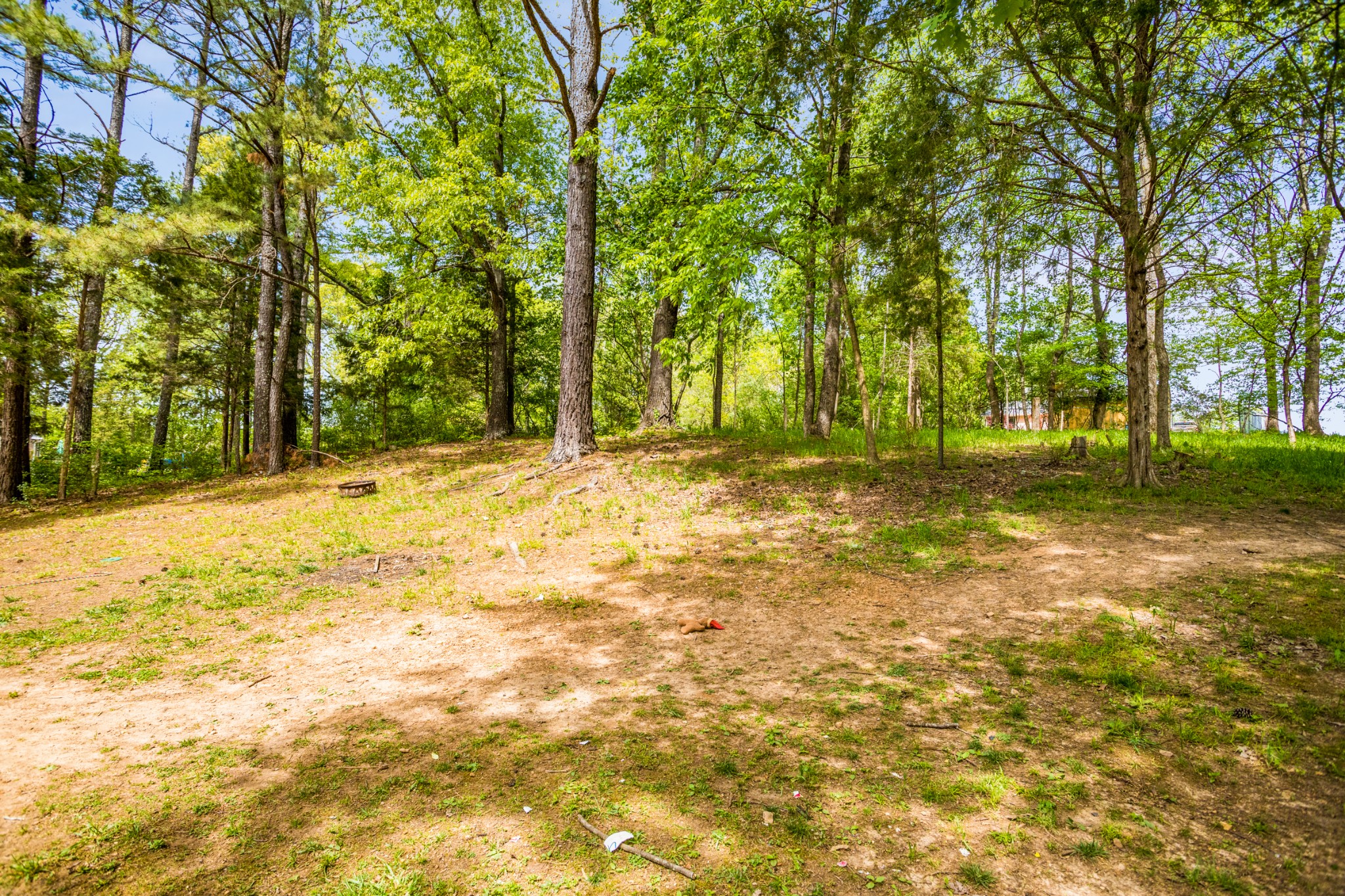7711 Chester Road Fairview, TN 37062 - Photo 20 of 21 a view of a yard with trees in front of it