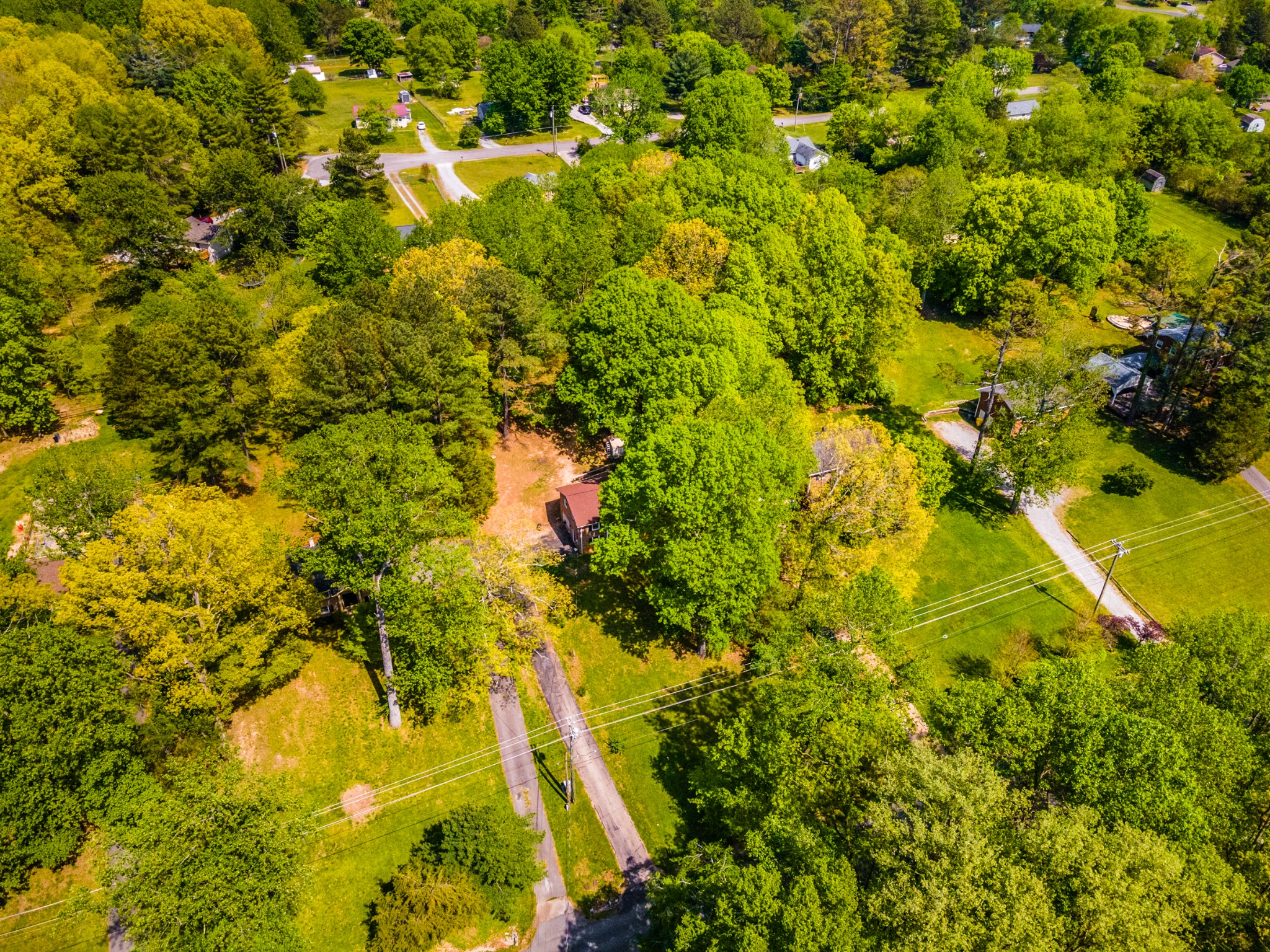 7711 Chester Road Fairview, TN 37062 - Photo 21 of 21 a view of a yard