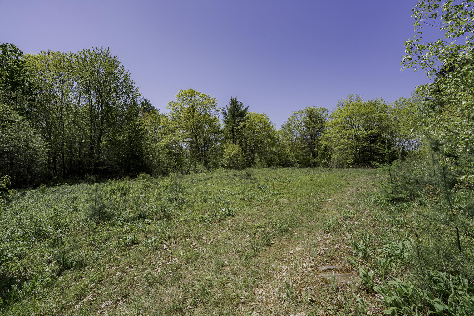 2208 Friendship Road Waldoboro, ME 04572 - Photo 68 of 76 Meadow