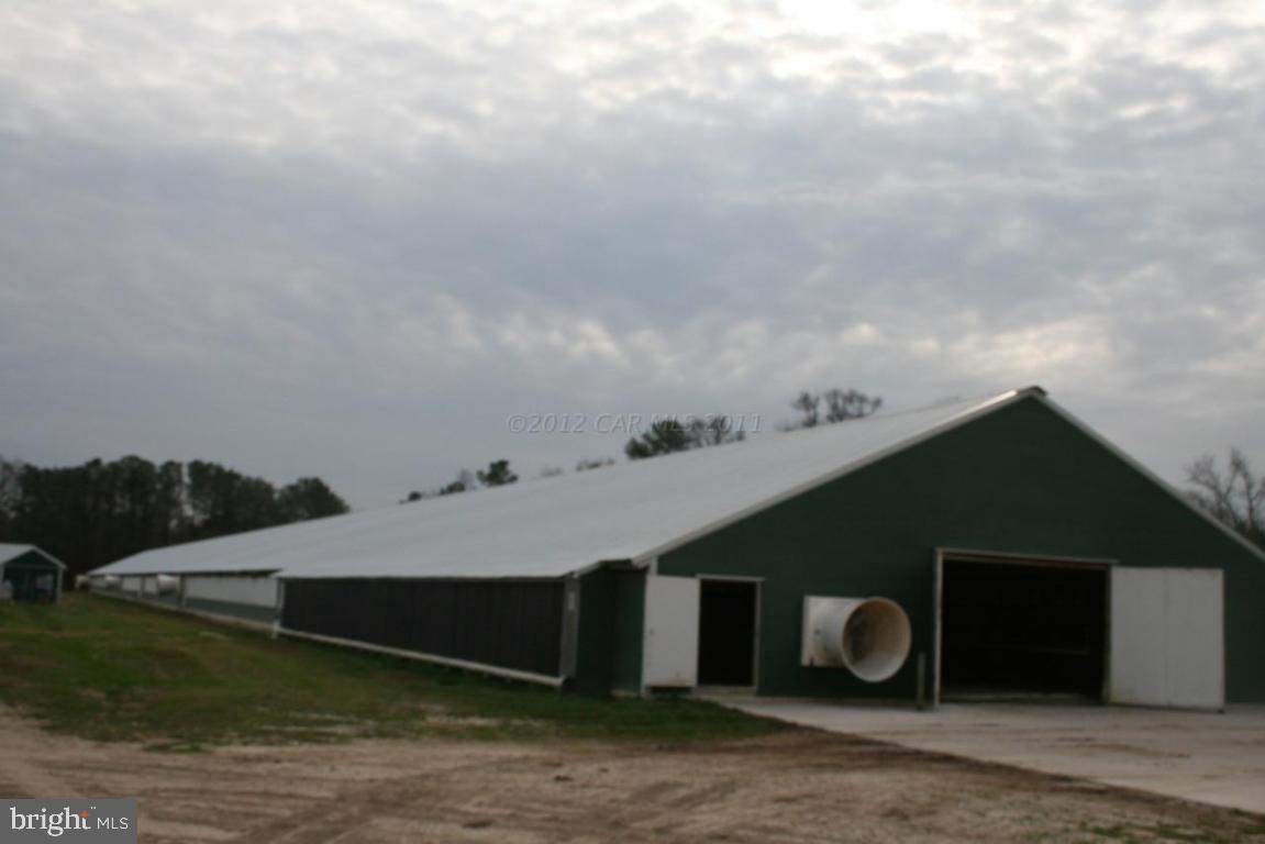 11045 Harry Riggin Road Princess Anne, MD 21853 - Photo 1 of 25