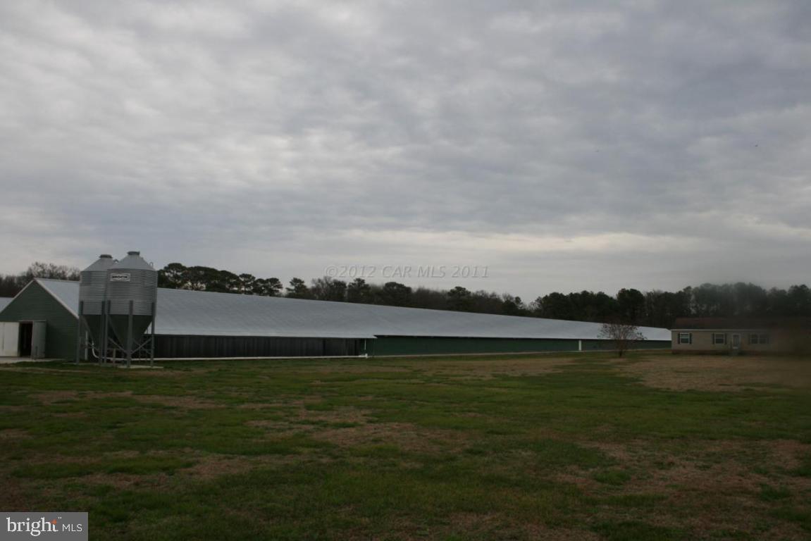11045 Harry Riggin Road Princess Anne, MD 21853 - Photo 12 of 25