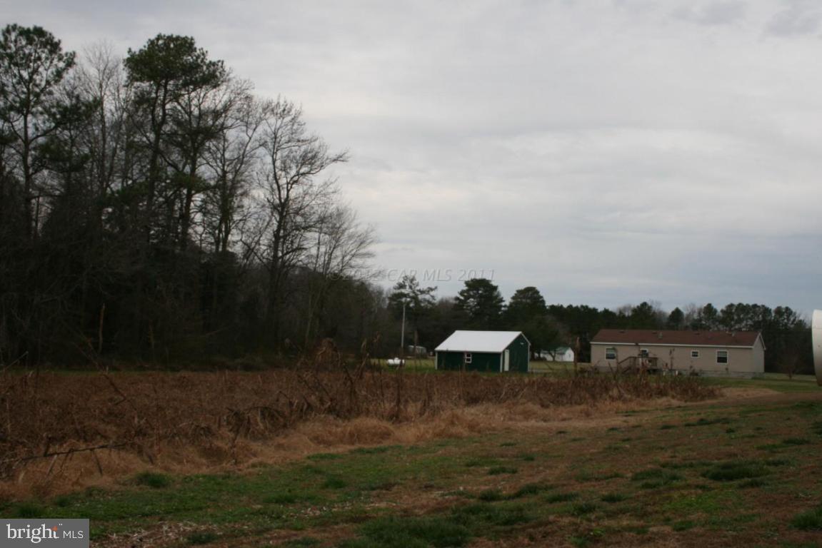 11045 Harry Riggin Road Princess Anne, MD 21853 - Photo 15 of 25