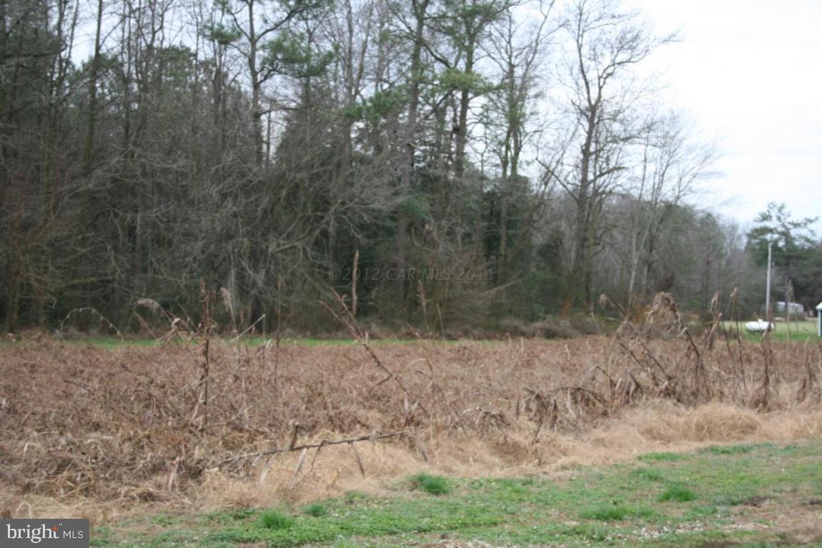11045 Harry Riggin Road Princess Anne, MD 21853 - Photo 24 of 25