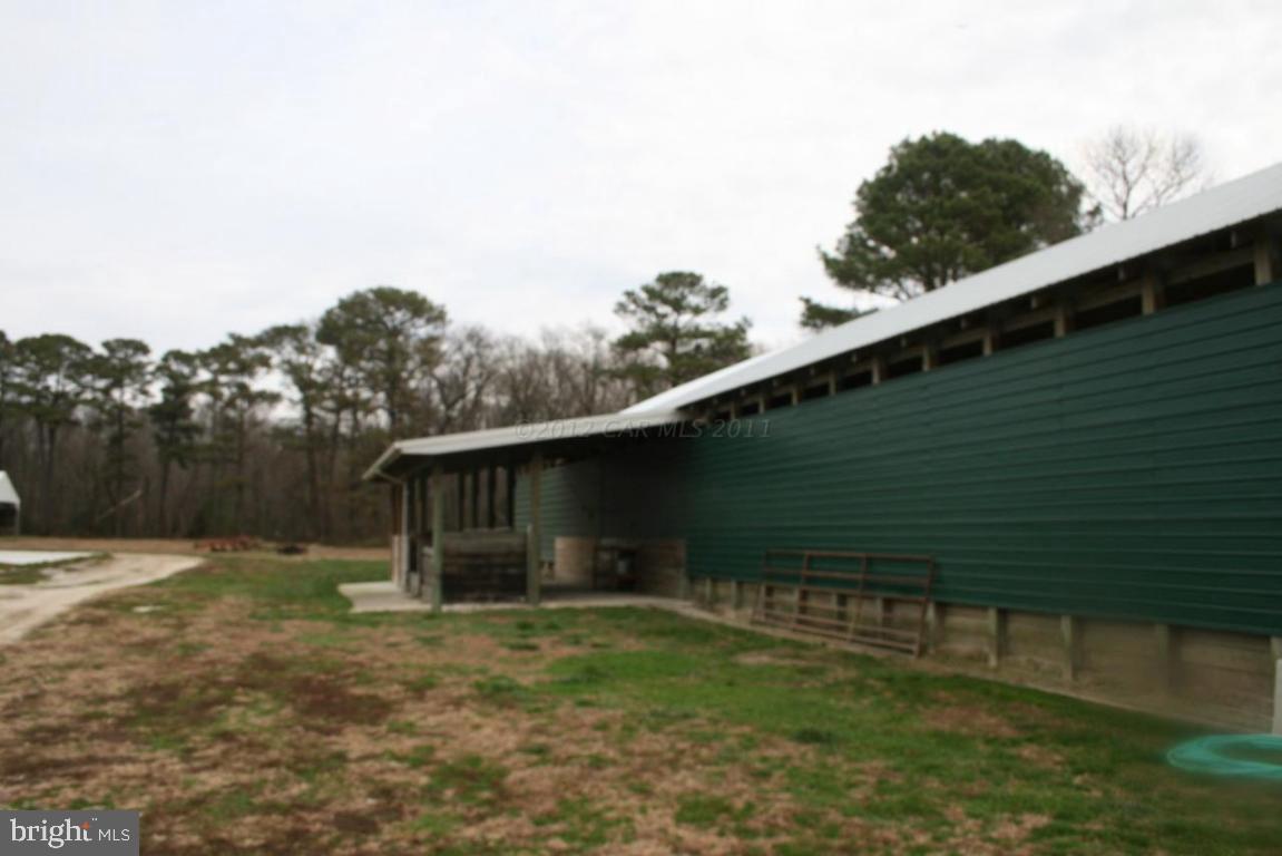 11045 Harry Riggin Road Princess Anne, MD 21853 - Photo 4 of 25