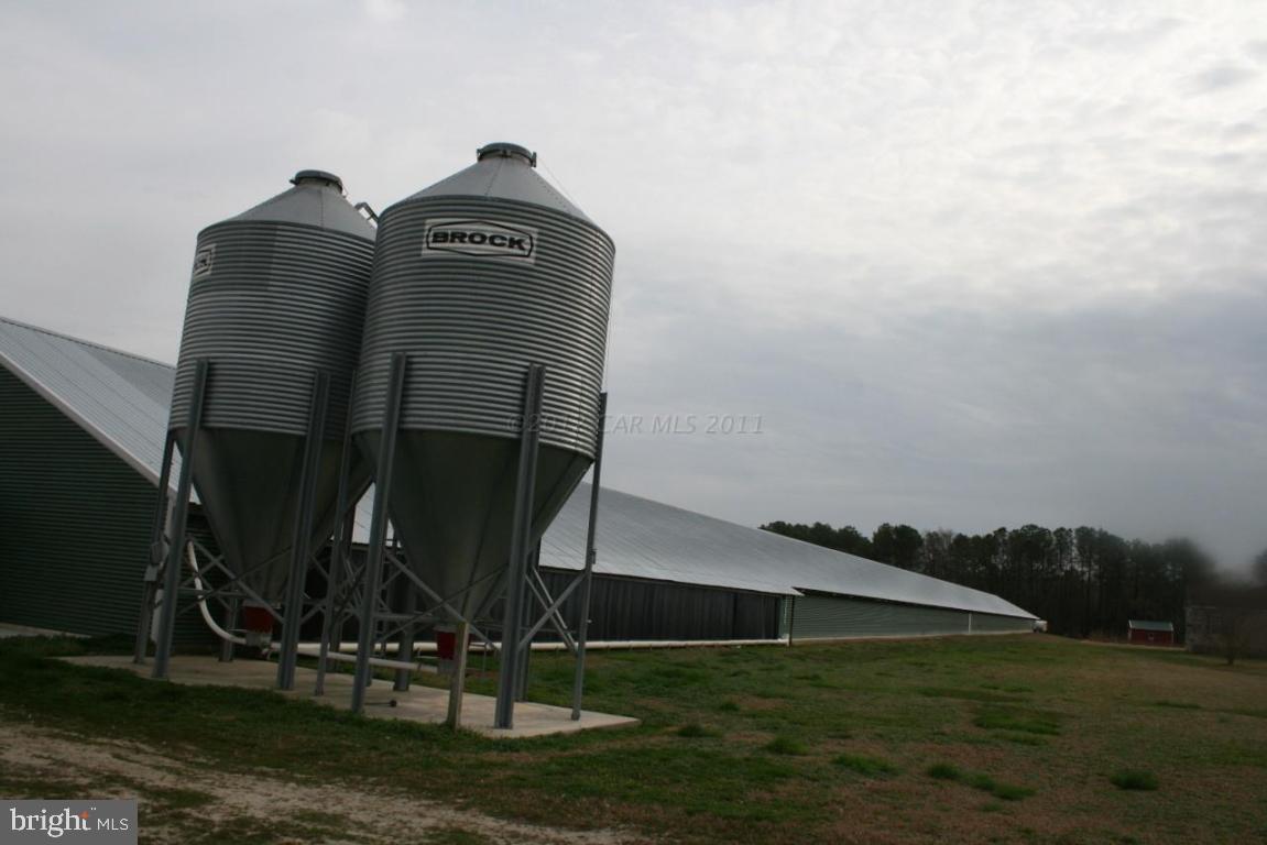 11045 Harry Riggin Road Princess Anne, MD 21853 - Photo 7 of 25
