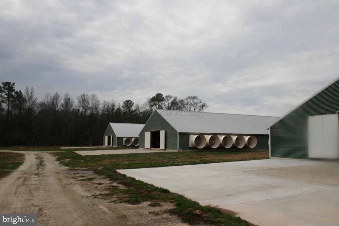 11045 Harry Riggin Road Princess Anne, MD 21853 - Photo 9 of 25