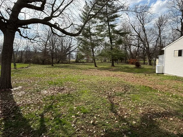 a view of a yard with a tree