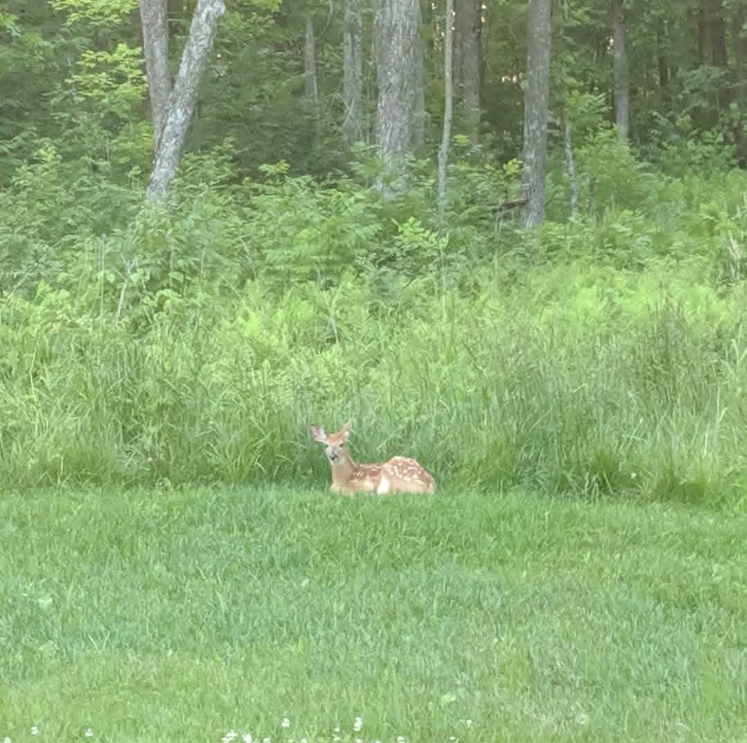 Tbd Marsh Road Milaca, MN 56353 - Photo 11 of 16