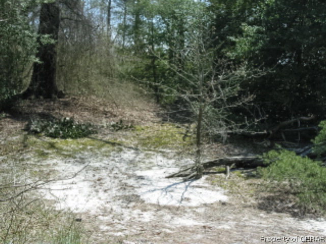 Lot 000 Fleet Road Heathsville, VA 22473 - Photo 2 of 8