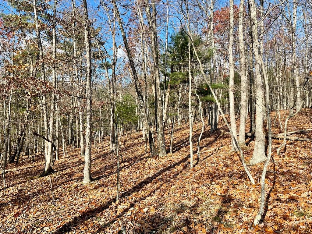 2-3 Crooked Run Road Artemas, PA 17211 - Photo 14 of 20 Gallery Image 14