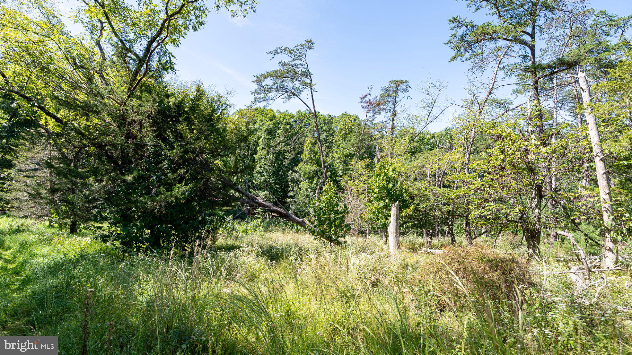 229 Inspiration Road Upper Tract, WV 26866 - Photo 20 of 30 Gallery Image 20