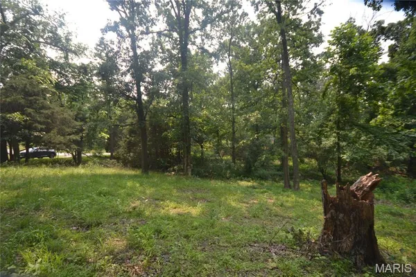 $80,000 | 0 McKinney Chapel Road, Marion, IL 62959