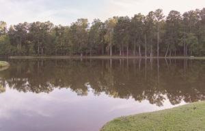 22 Honeysuckle Circle Waverly Hall, GA 31831 - Photo 4 of 8 a view of a lake