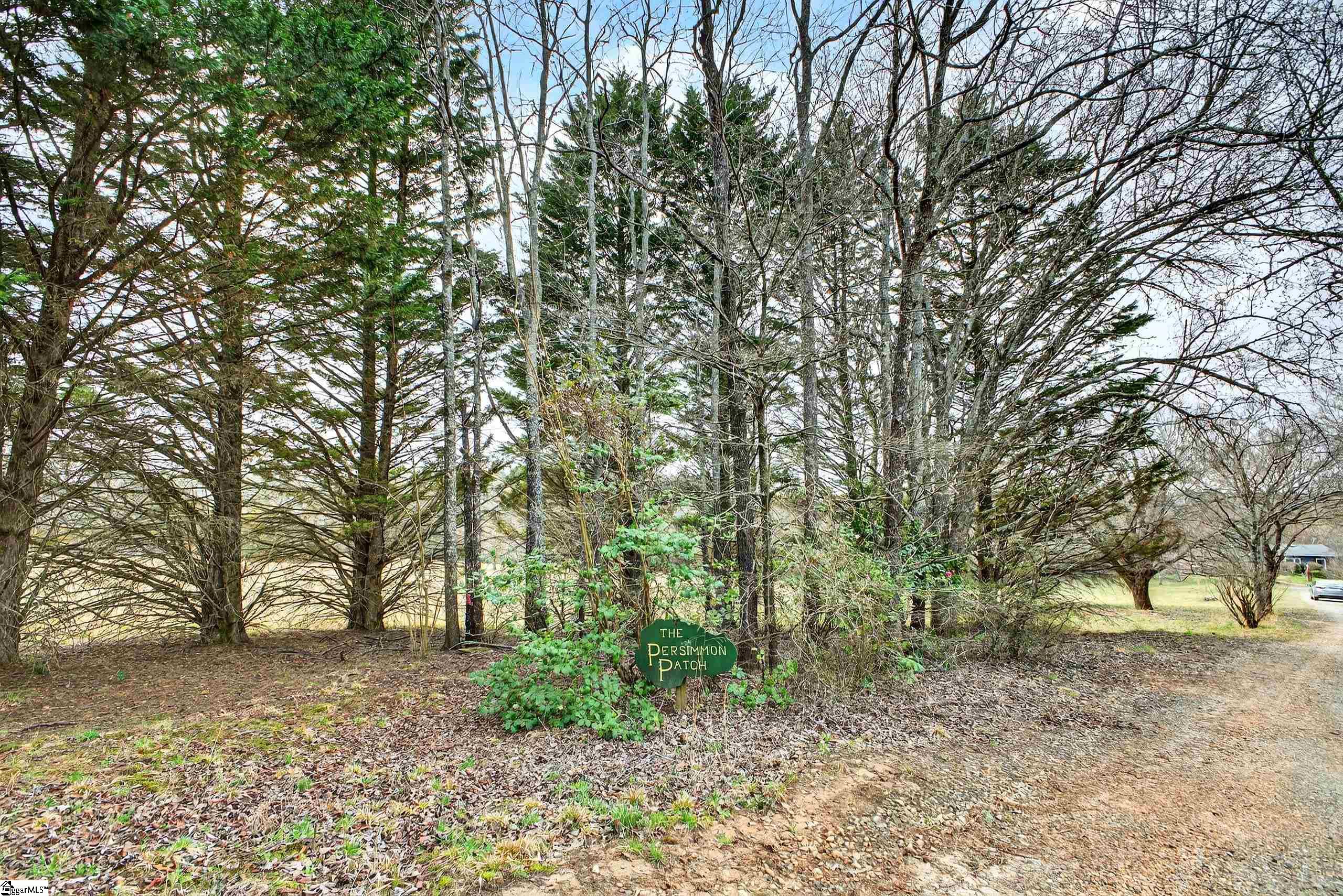 524 Hendricks Road Easley, SC 29642 - Photo 3 of 48 Gallery Image 3