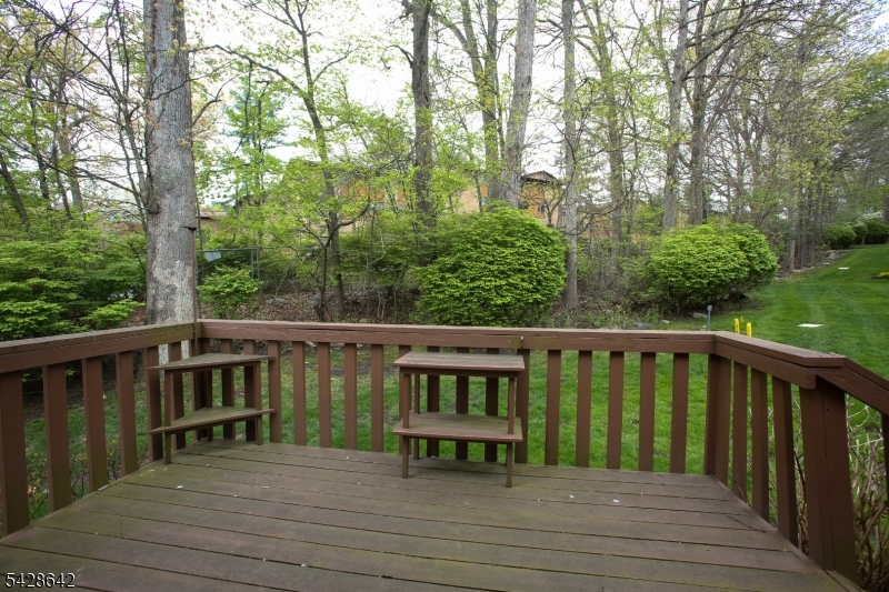 90 Frogtown Road Dover, NJ 07801 - Photo 29 of 32