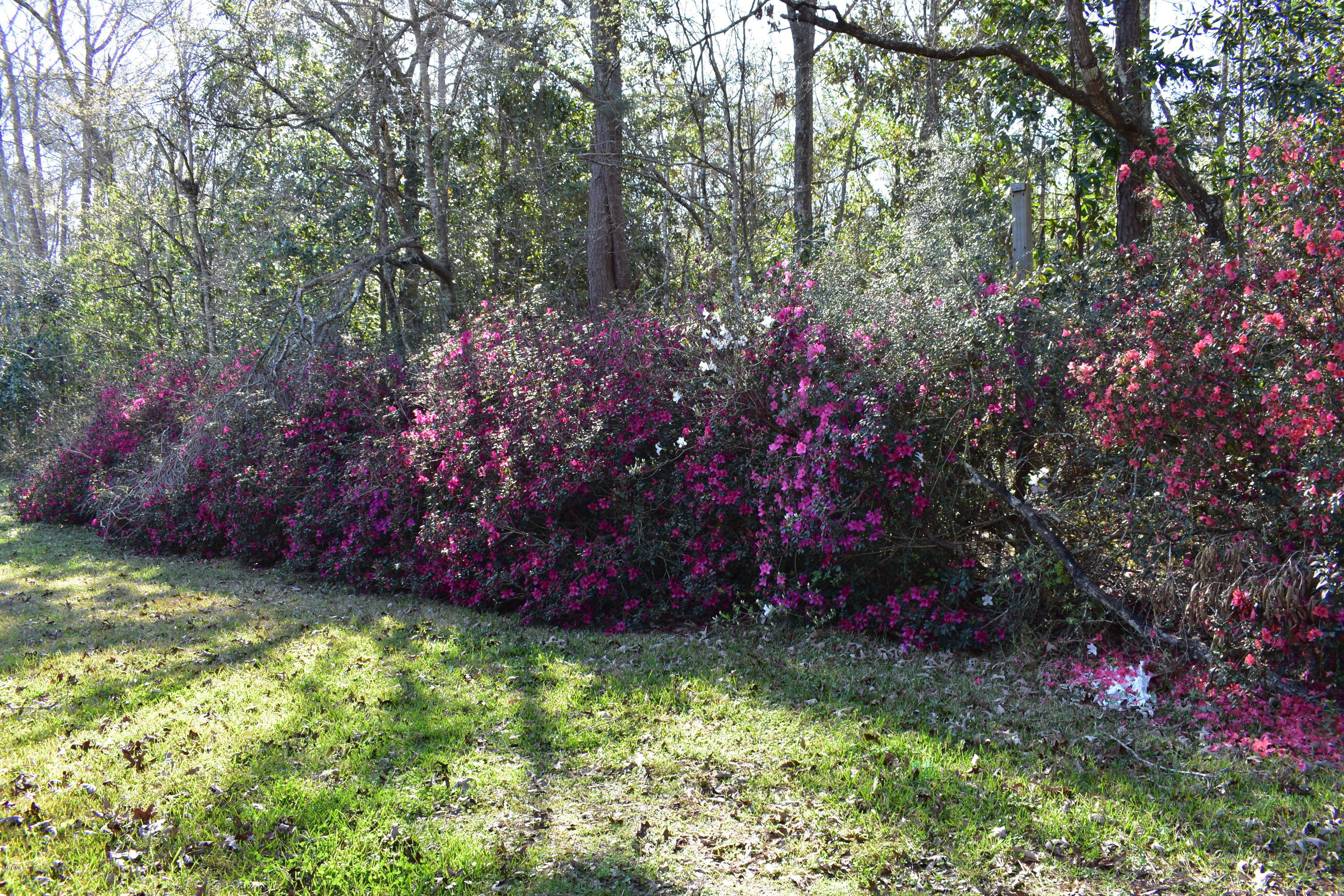 3610 Manchester Road Moss Point, MS 39562 - Photo 45 of 60 DSC_0100