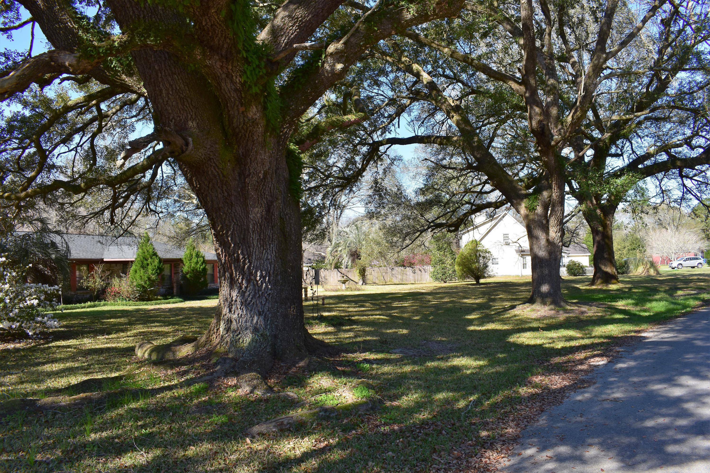 3610 Manchester Road Moss Point, MS 39562 - Photo 5 of 60 DSC_0105