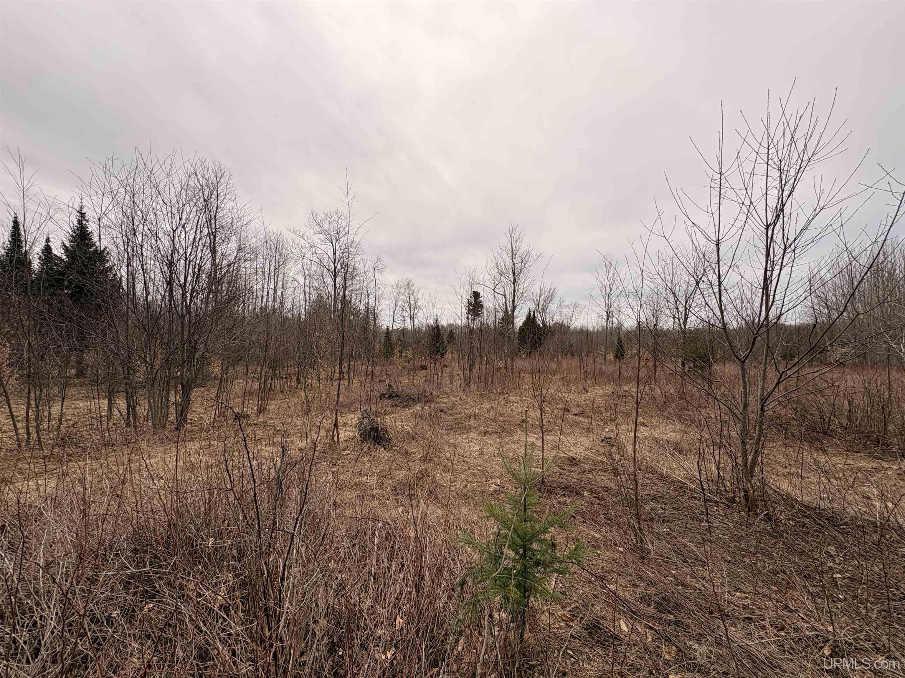 Tbd Tbd County Road Rapid River, MI 49878 - Photo 6 of 11