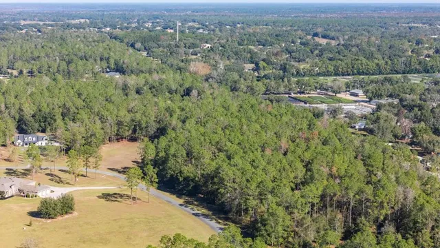 an aerial view of residential houses with outdoor space and trees