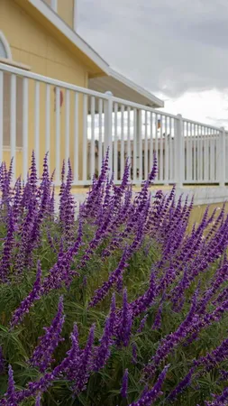 a sign on the side of a road