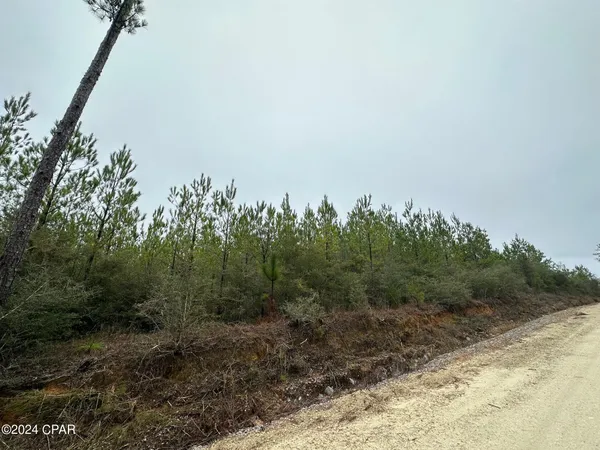 $70,000 | 6418 North Mattox Springs Road, Unit 1, Caryville, FL 32427