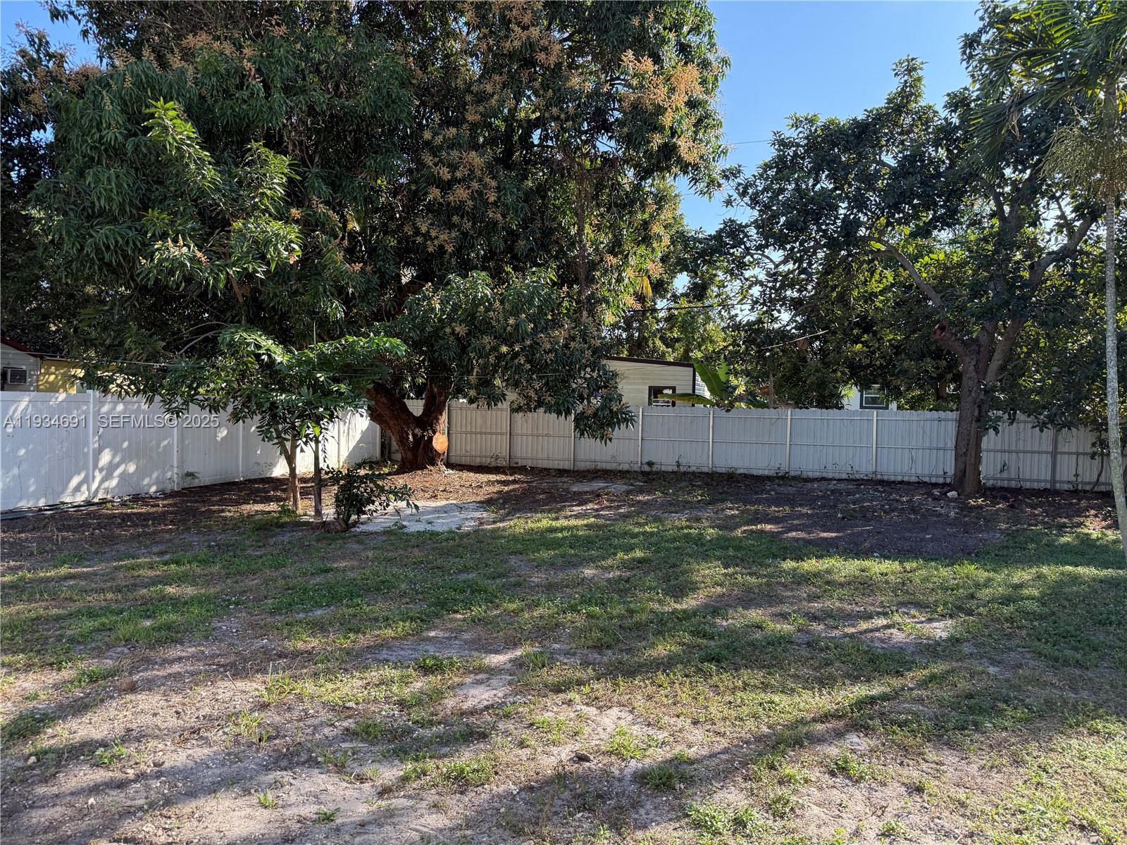 260 Northwest 119th Street Miami, FL 33168 - Photo 31 of 31 a view of a yard with a tree