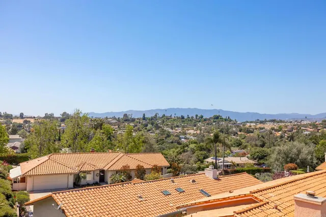 a view of the flower