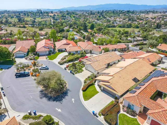 a close up of a flower in a garden