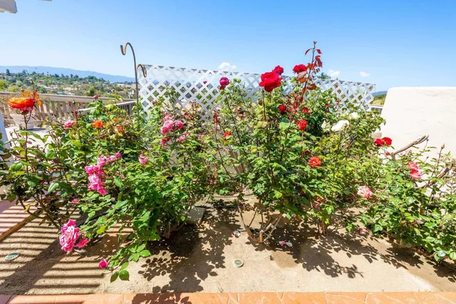 a view of a yard with furniture