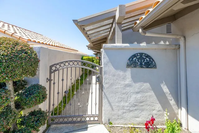 a potted plant sitting in front of a house