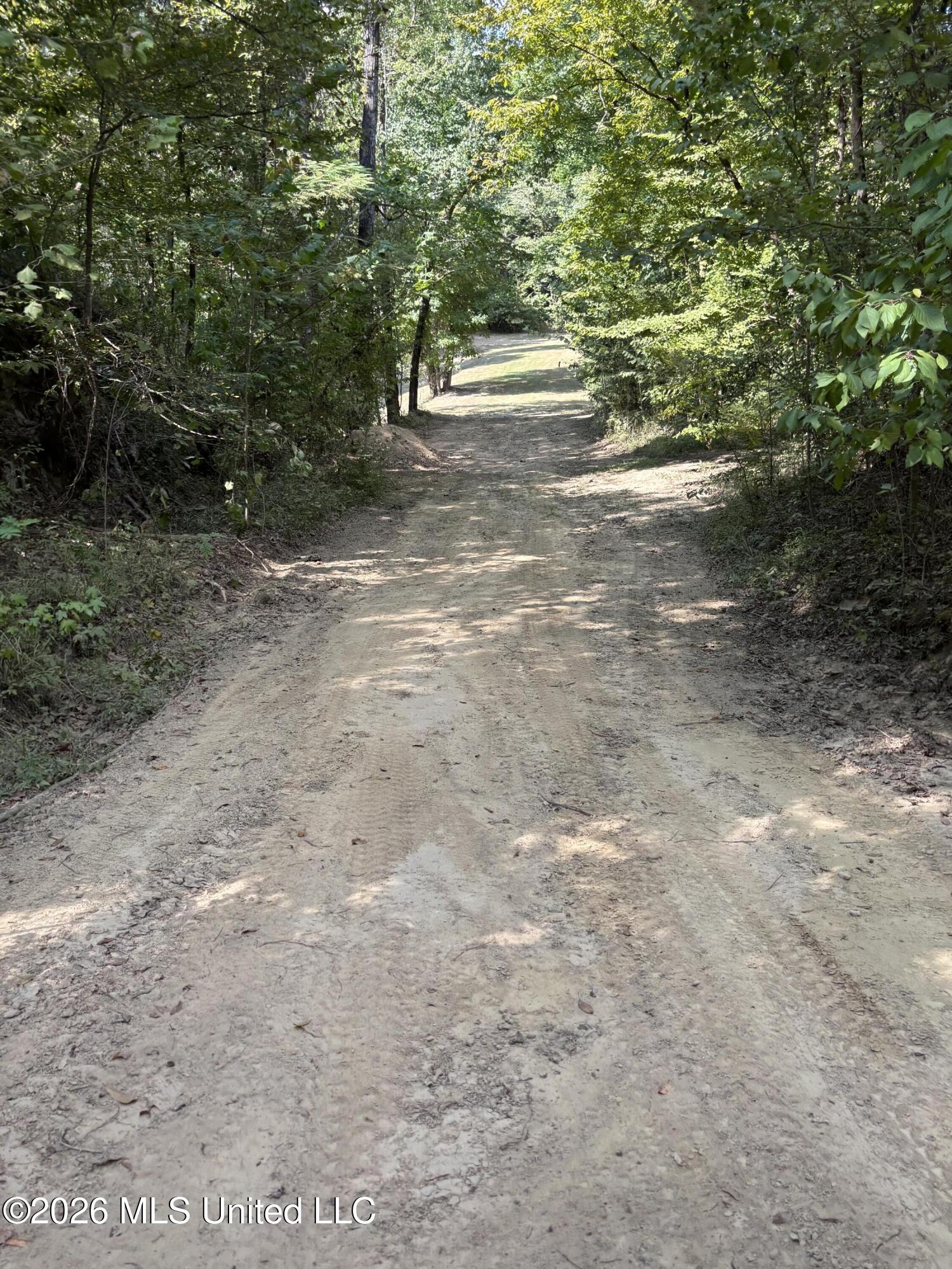 Tinsley Road Bentonia, MS 39040 - Photo 18 of 36 IMG_1437
