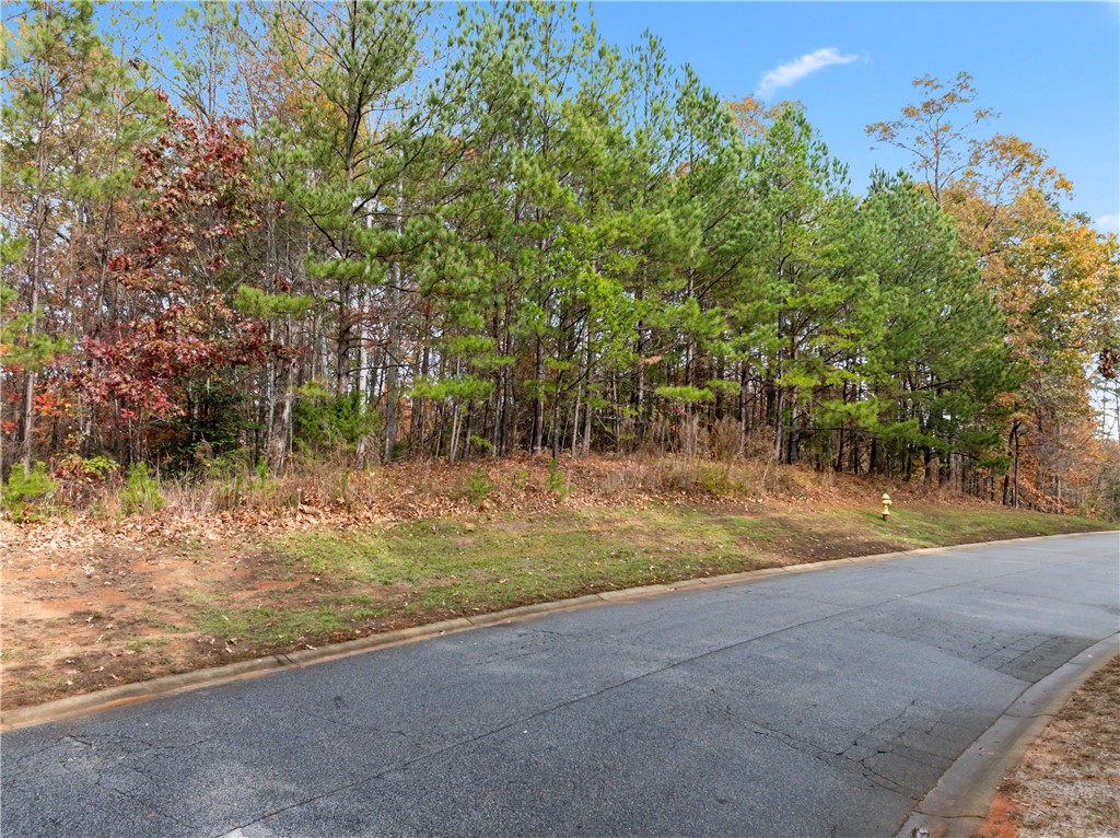Lot 278 Waterside Crossing Seneca, SC 29672 - Photo 2 of 15