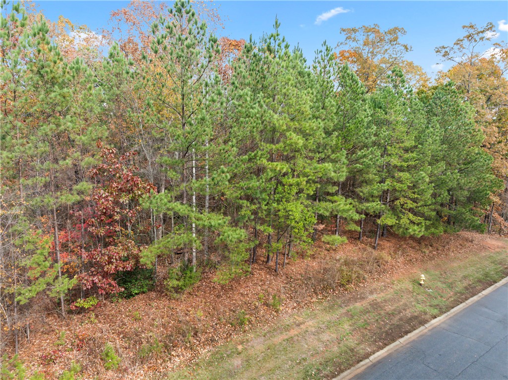 Lot 278 Waterside Crossing Seneca, SC 29672 - Photo 3 of 15