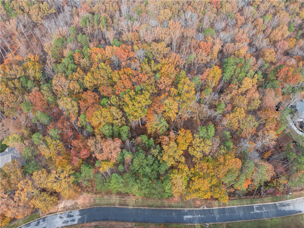 Lot 278 Waterside Crossing Seneca, SC 29672 - Photo 4 of 15
