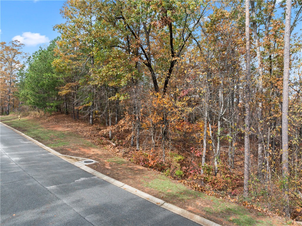 Lot 278 Waterside Crossing Seneca, SC 29672 - Photo 5 of 15